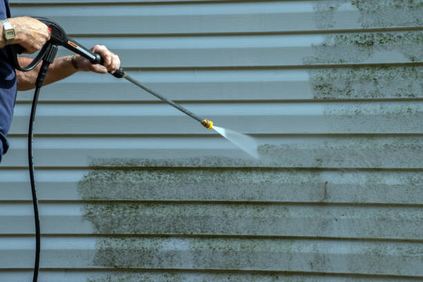 Best Graffiti Removal  in Splendora, TX